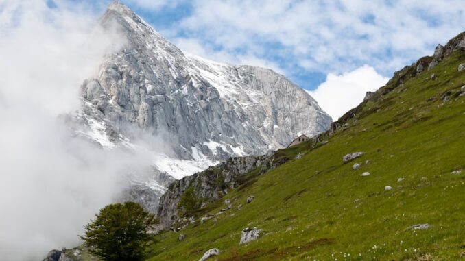 uploaded-image-radyo-yasam-teknoloji-ve-dijital-yasam-1697800758950