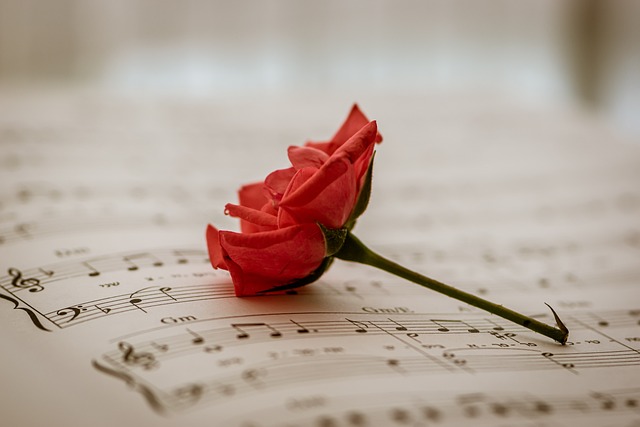 Müzik, Yaşamın Fon Müziği Müzik, Yaşamın Fon Müziği